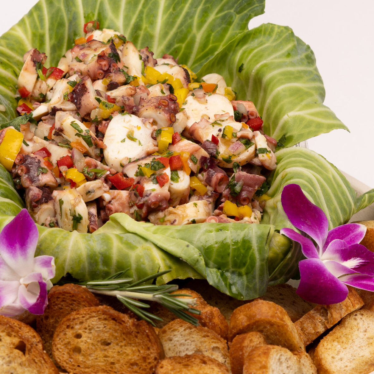 OCTOPUS w/ PICO DE GALLO