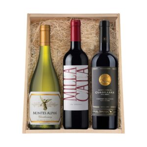 CHILEAN WINES GIFT SET