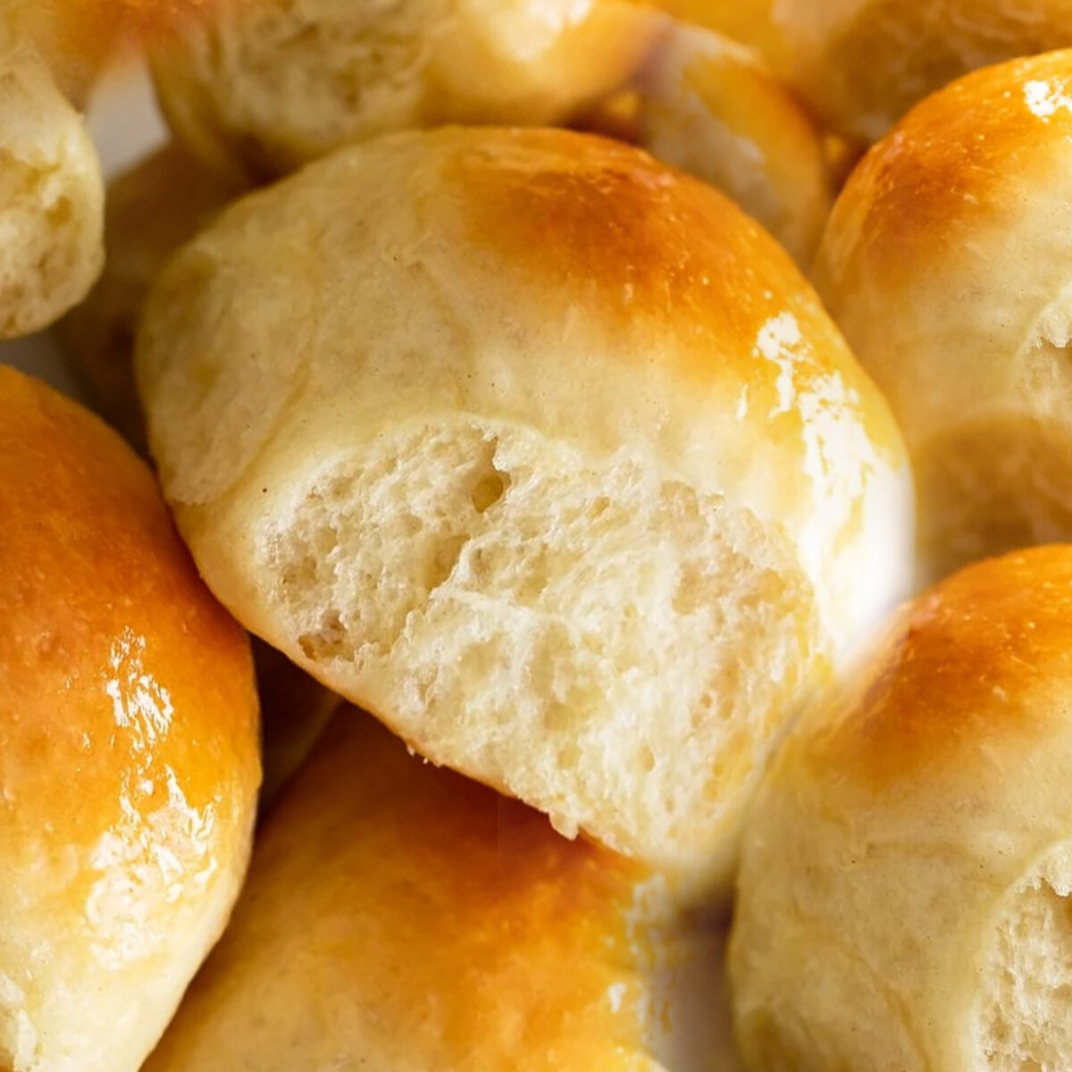 DINNER ROLLS