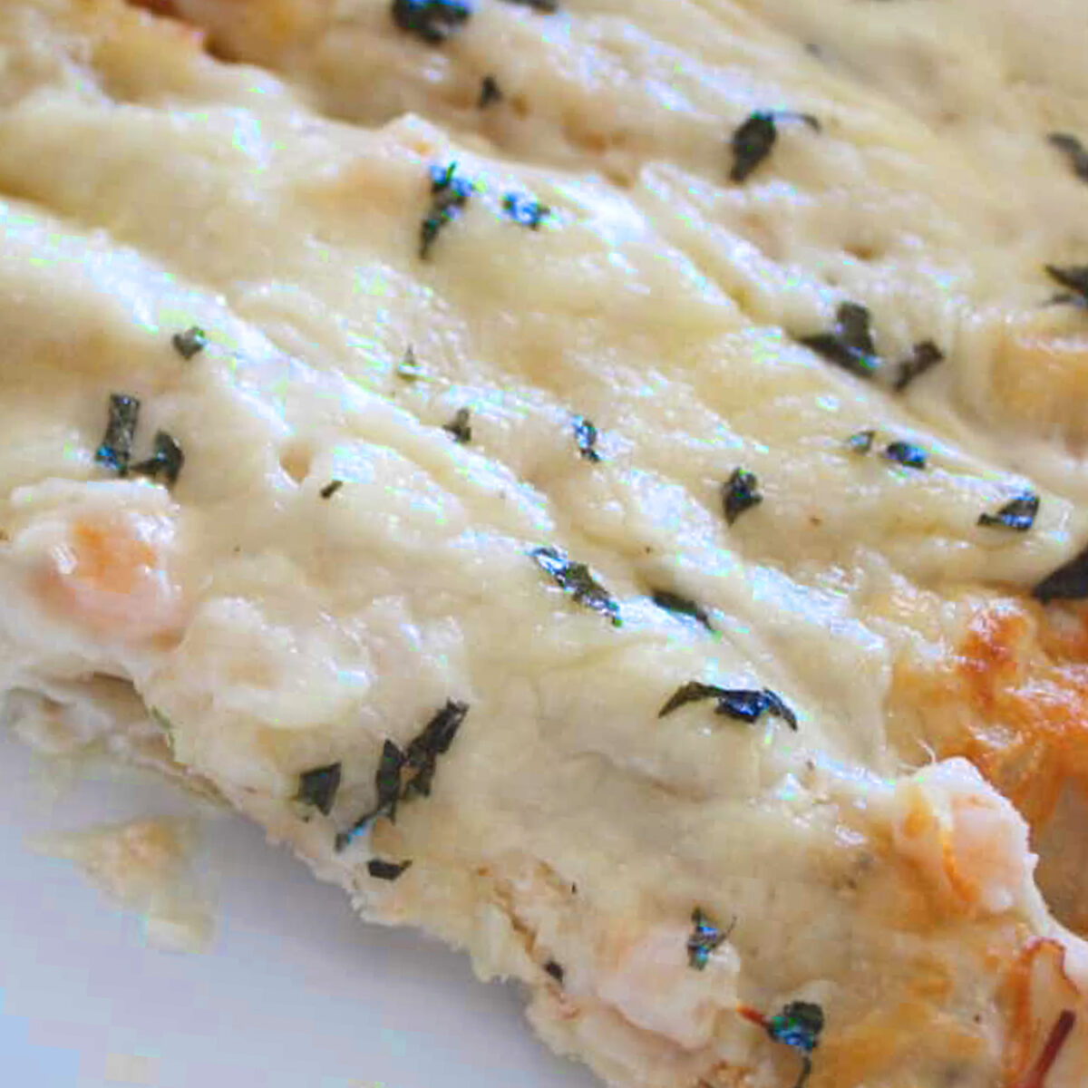SHRIMP CANNELLONI