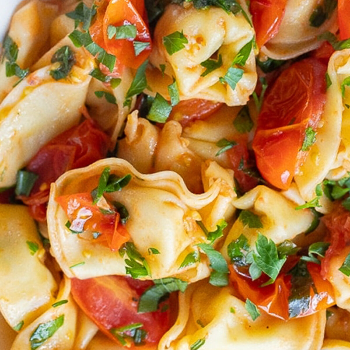 CHEESE TORTELLINI TOMATO