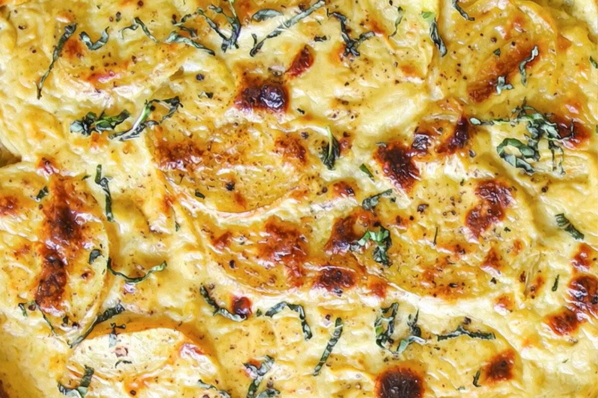 SCALLOPED POTATO GRATIN