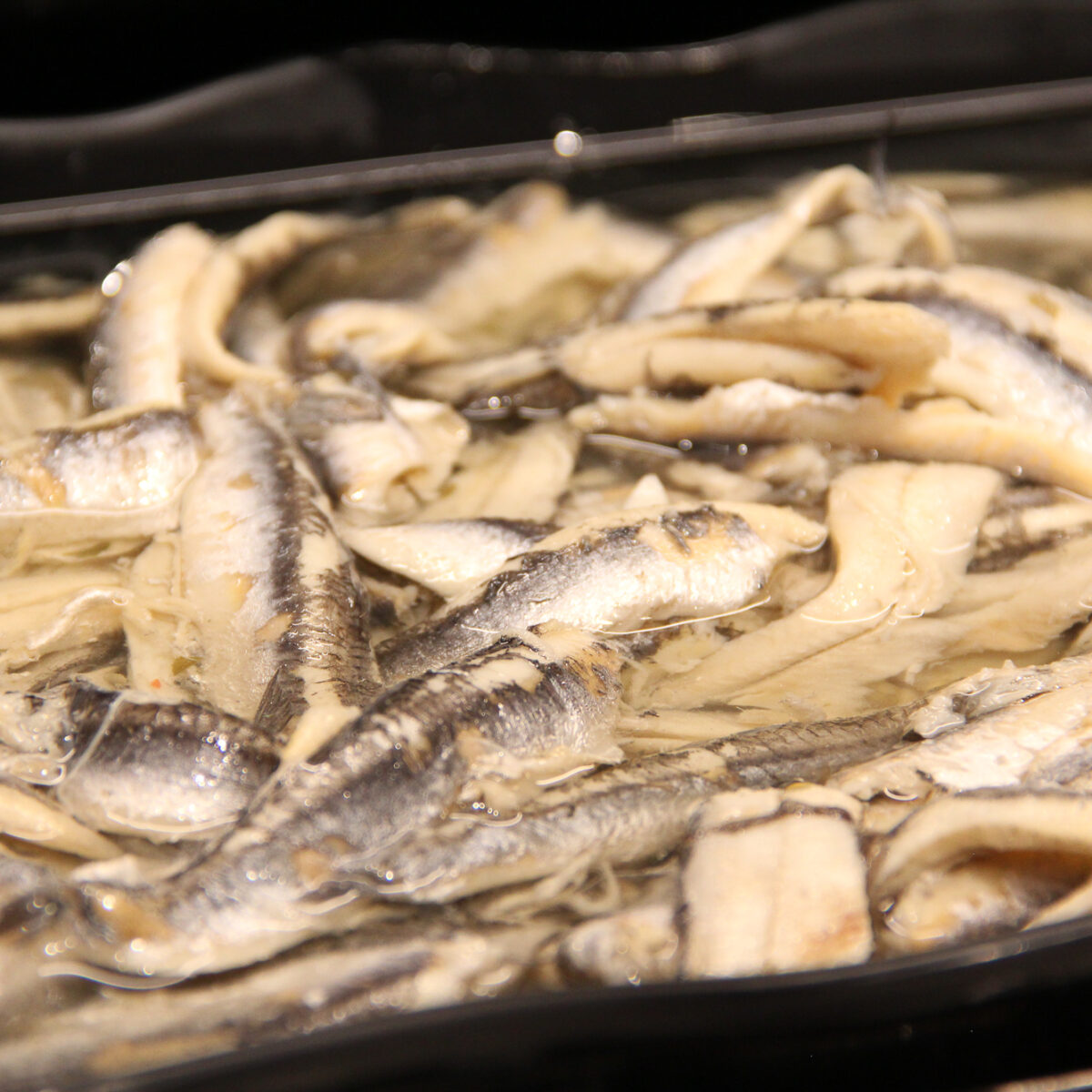BOQUERONES CANTABRICO