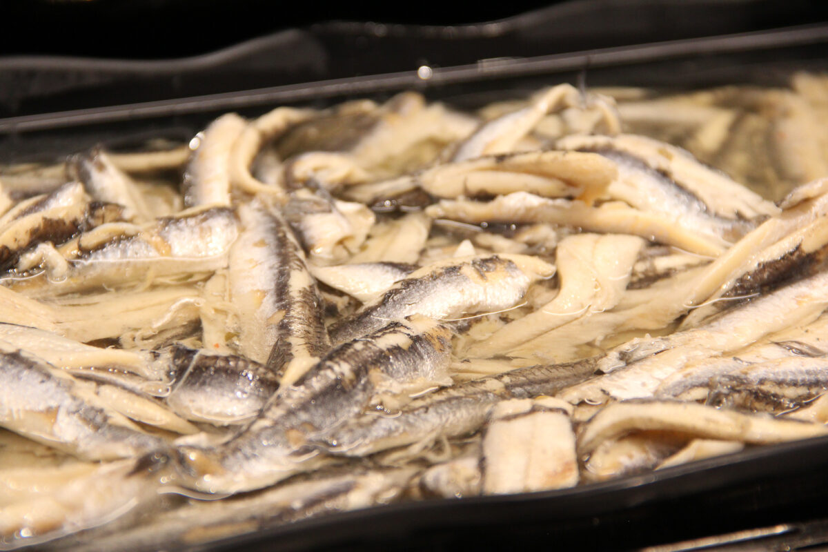 BOQUERONES CANTABRICO