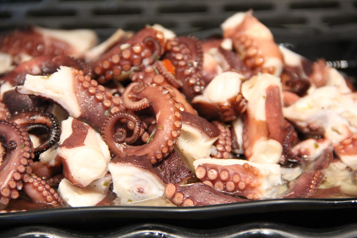 IMPORTED OCTOPUS