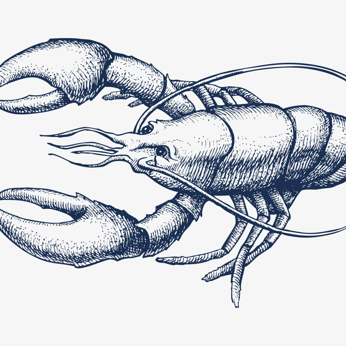 LOBSTER SALAD DIP & CROSTINIS