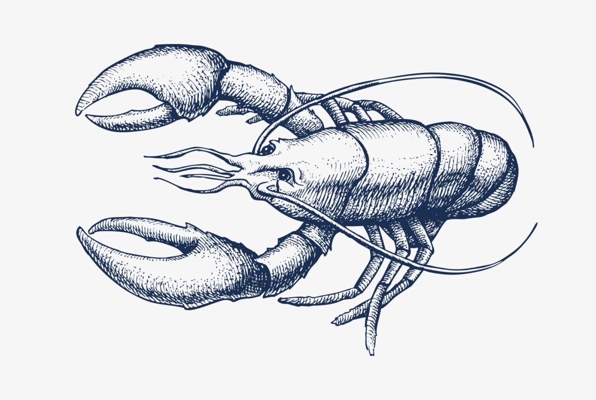 LOBSTER SALAD DIP & CROSTINIS